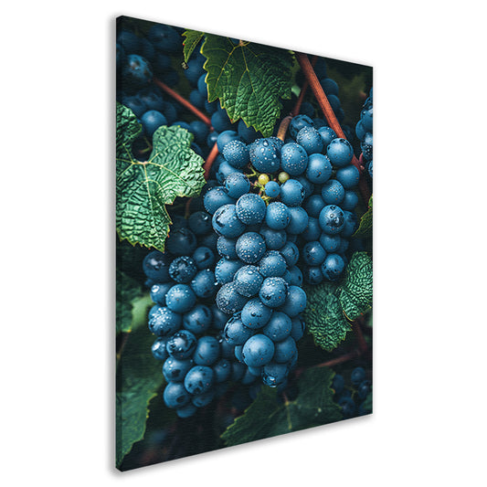 Close-up van Dauwdruppels op Druiven canvas