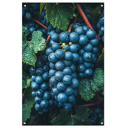 Close-up van Dauwdruppels op Druiven tuinposter