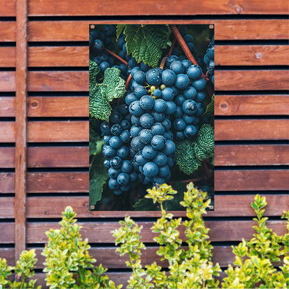 Close-up van Dauwdruppels op Druiven tuinposter