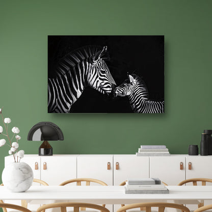 Zebra en jong in zwart-wit foto poster