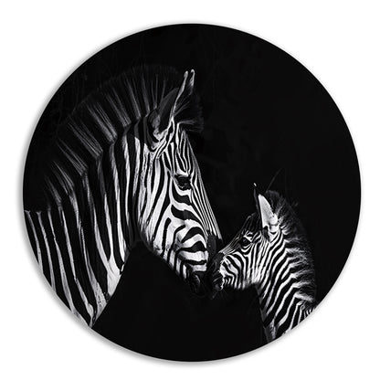 Zebra en jong in zwart-wit foto forex muurcirkel