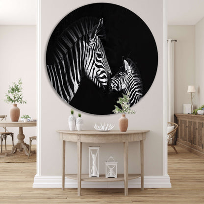 Zebra en jong in zwart-wit foto forex muurcirkel