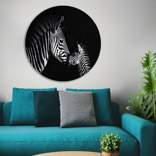 Zebra en jong in zwart-wit foto forex muurcirkel