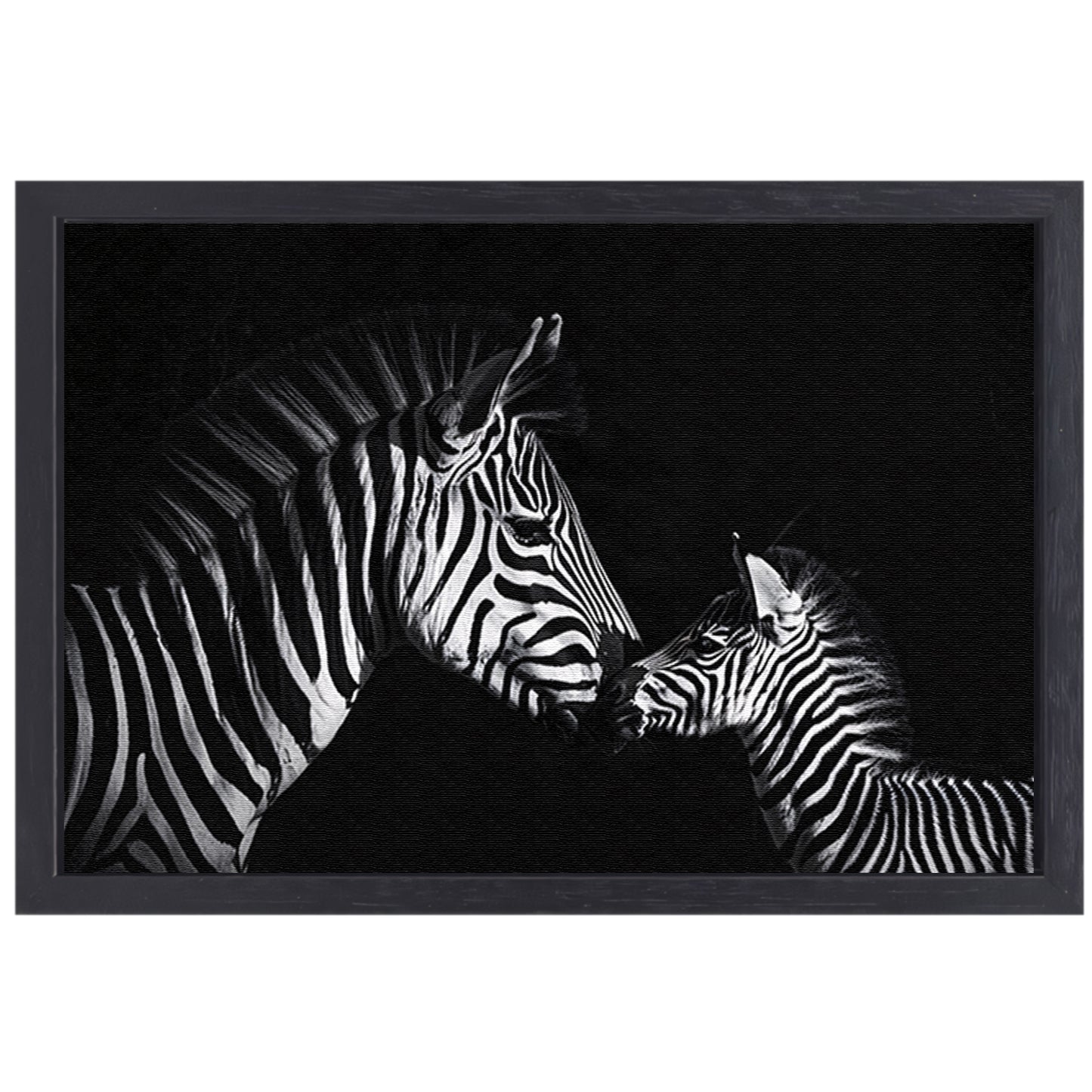 Zebra en jong in zwart-wit foto canvas met baklijst