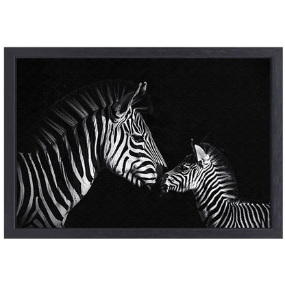 Zebra en jong in zwart-wit foto canvas met baklijst