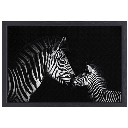Zebra en jong in zwart-wit foto canvas met baklijst