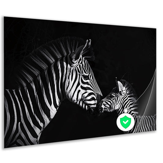Zebra en jong in zwart-wit foto poster