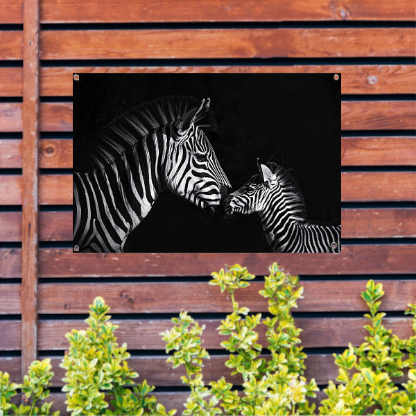 Zebra en jong in zwart-wit foto tuinposter