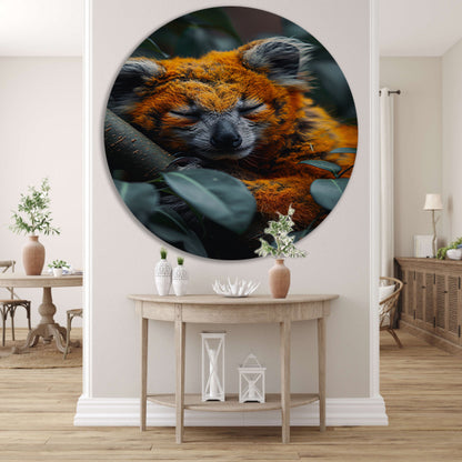 Oranje koala slaapt vredig in boom aluminium muurcirkel