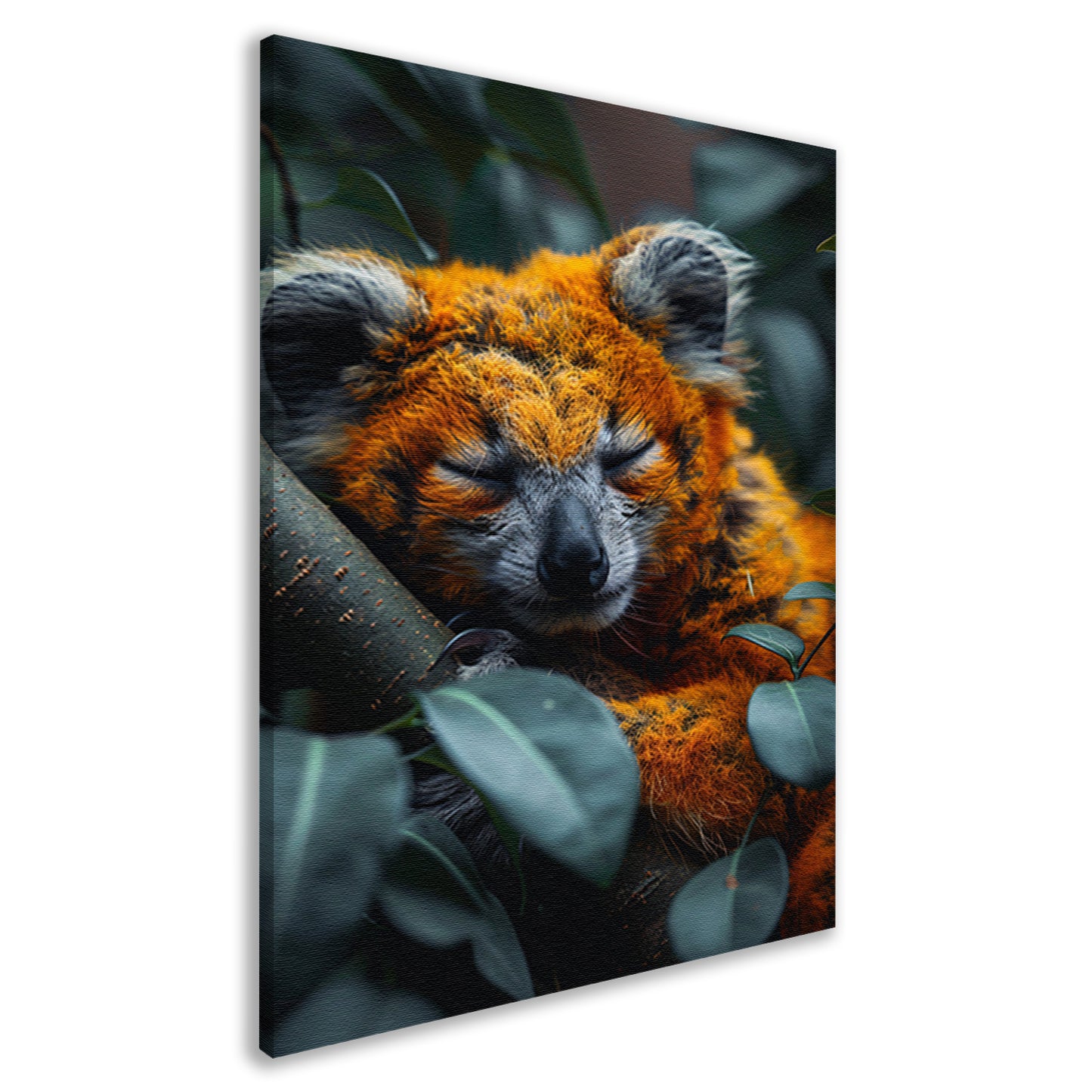 Oranje koala slaapt vredig in boom canvas