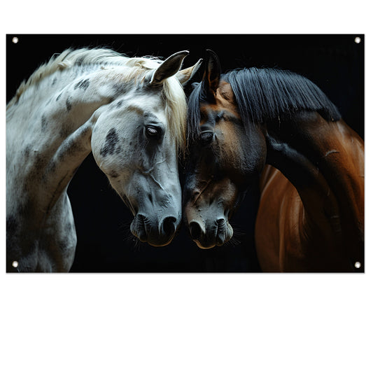 Twee paarden in een donkere omgeving tuinposter