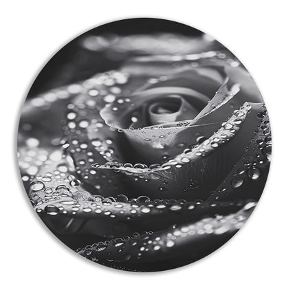 Zwart-witte roos met waterdruppels in close-up aluminium muurcirkel