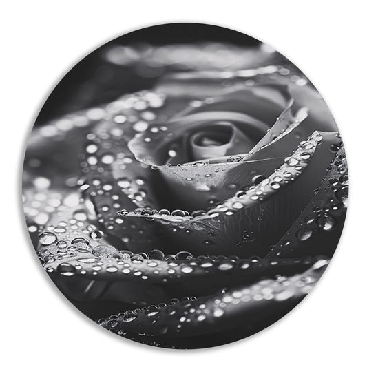 Zwart-witte roos met waterdruppels in close-up aluminium muurcirkel