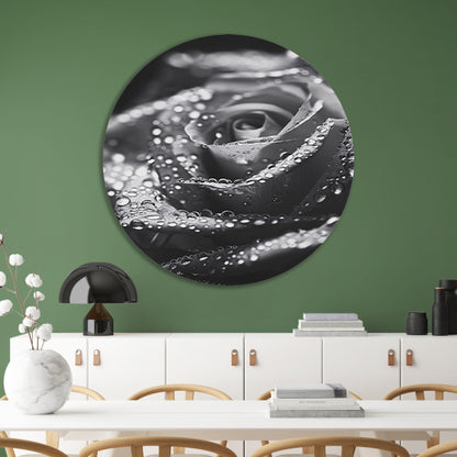 Zwart-witte roos met waterdruppels in close-up aluminium muurcirkel