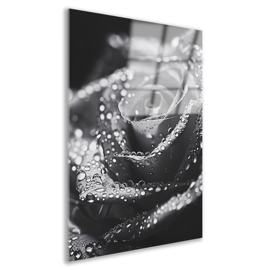 Zwart-witte roos met waterdruppels in close-up acrylglas
