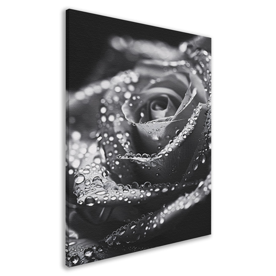 Zwart-witte roos met waterdruppels in close-up canvas