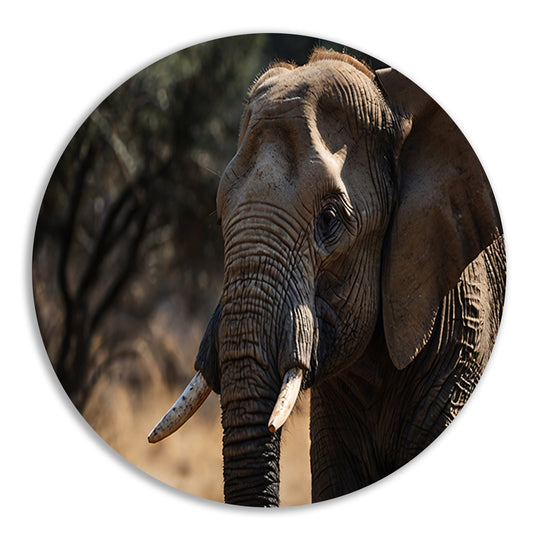 Prachtige close-up foto van een olifant forex muurcirkel