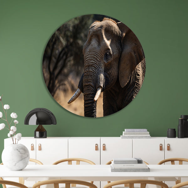 Prachtige close-up foto van een olifant aluminium muurcirkel