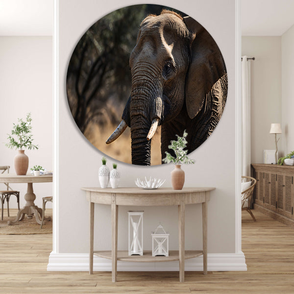 Prachtige close-up foto van een olifant aluminium muurcirkel