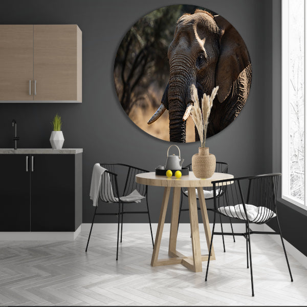 Prachtige close-up foto van een olifant aluminium muurcirkel