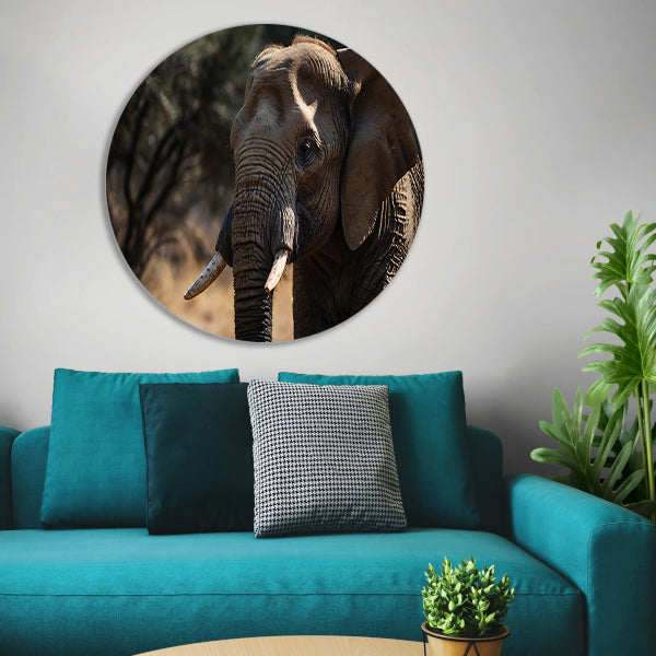 Prachtige close-up foto van een olifant aluminium muurcirkel
