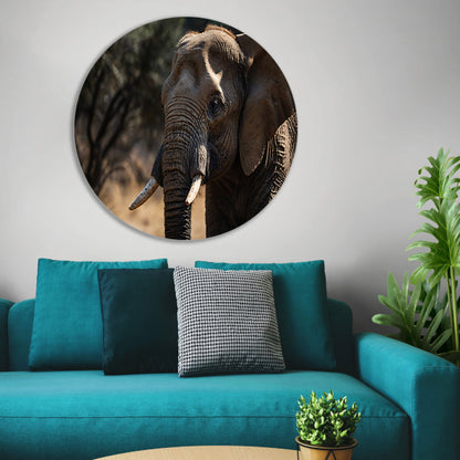 Prachtige close-up foto van een olifant aluminium muurcirkel