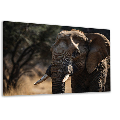 Prachtige close-up foto van een olifant canvas