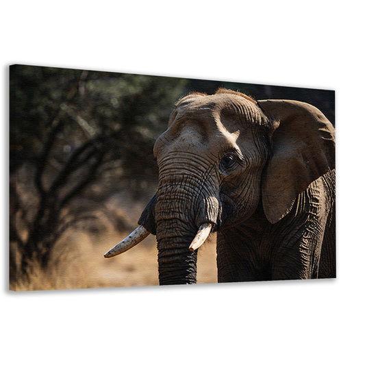 Prachtige close-up foto van een olifant canvas