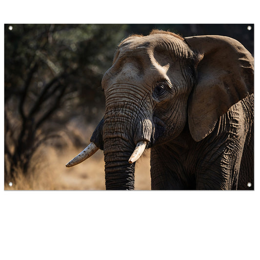 Prachtige close-up foto van een olifant tuinposter