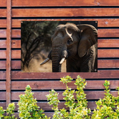 Prachtige close-up foto van een olifant tuinposter