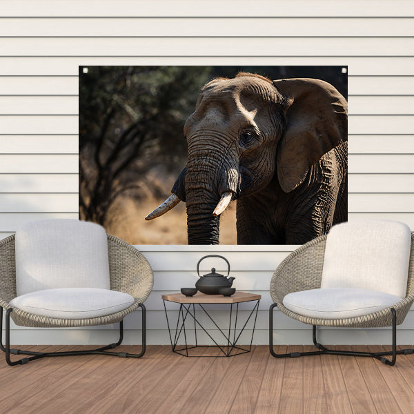 Prachtige close-up foto van een olifant tuinposter