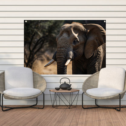 Prachtige close-up foto van een olifant tuinposter