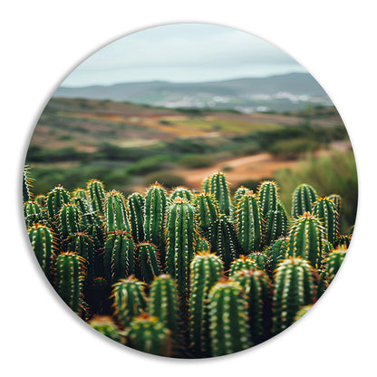 Cactussen in een berglandschap aluminium muurcirkel