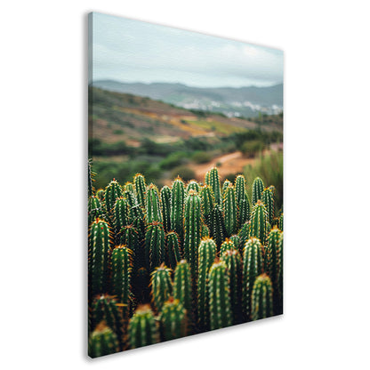 Cactussen in een berglandschap canvas