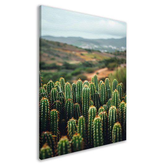 Cactussen in een berglandschap canvas