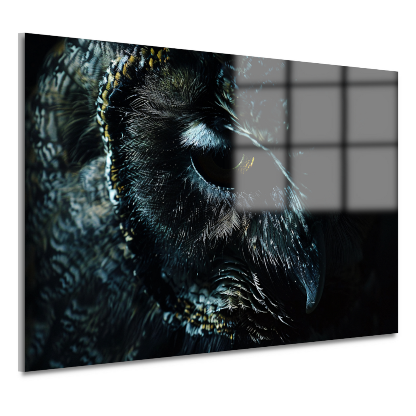 De Mystieke Glans van een Uilen Oog acrylglas