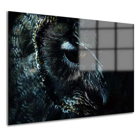 De Mystieke Glans van een Uilen Oog acrylglas