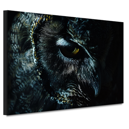 De Mystieke Glans van een Uilen Oog canvas
