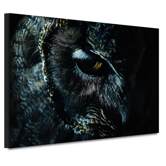 De Mystieke Glans van een Uilen Oog canvas