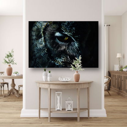 De Mystieke Glans van een Uilen Oog canvas met baklijst