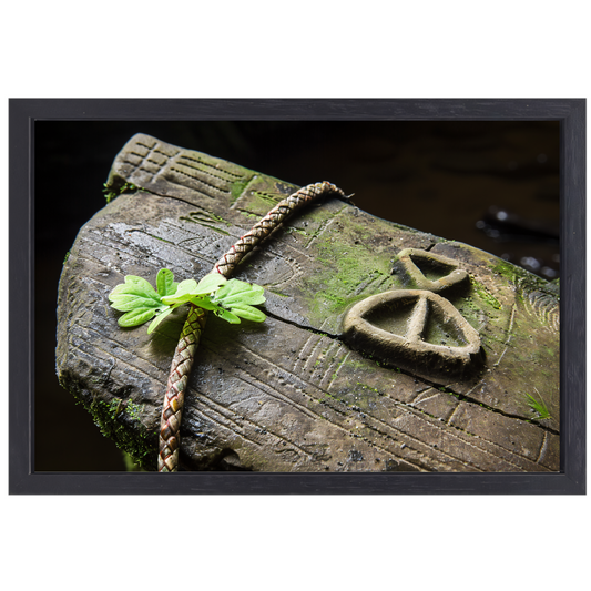 Plant groeit uit holle boomstam canvas met baklijst