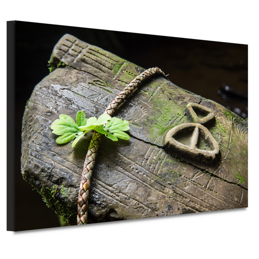 Plant groeit uit holle boomstam canvas