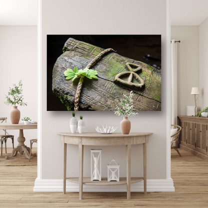 Plant groeit uit holle boomstam canvas