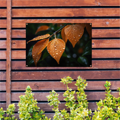 Dauwdruppels op Oranje Zomerbladeren tuinposter