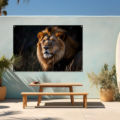 Majestueuze leeuw in donkere achtergrond tuinposter