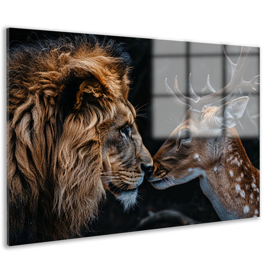 Leeuw en hert tegen donkere achtergrond acrylglas