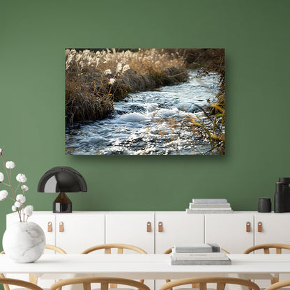 Stromende kreek omgeven door wilde flora acrylglas