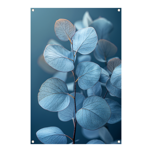 Blauwe eucalyptusbladeren in minimalistisch realisme tuinposter