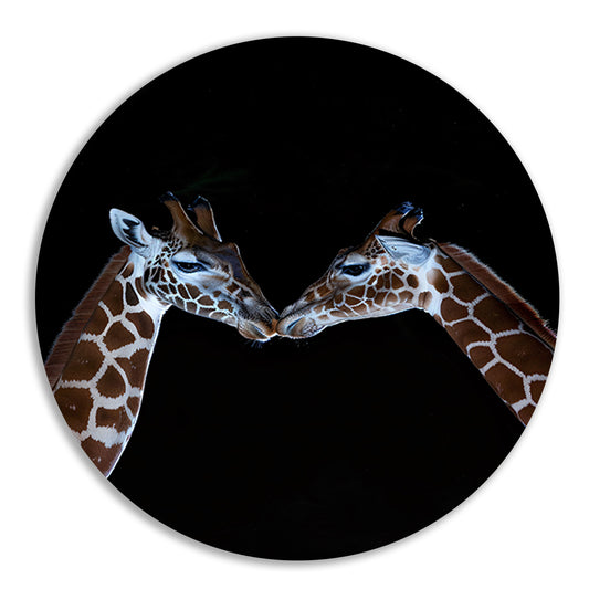 Twee giraffen in een intiem moment forex muurcirkel
