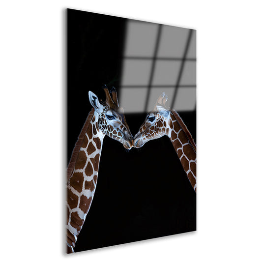 Twee giraffen in een intiem moment acrylglas